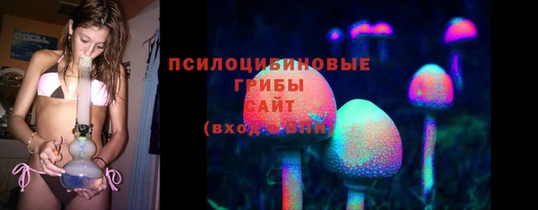 дурь Арсеньев