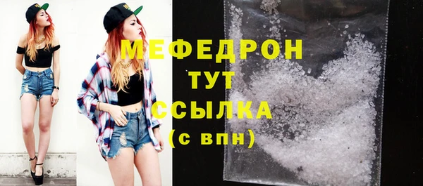 прущие грибы Каменногорск