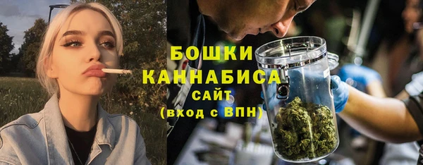дурь Арсеньев
