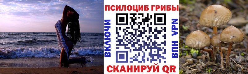 Галлюциногенные грибы MAGIC MUSHROOMS  Пугачёв 
